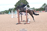 Cls 03 Snr Disco & 1.00m Open portfolio
