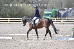 BPP_9541
