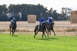 140826-Race 2-National Honour-0921