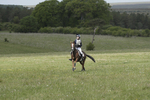BVHT 140517  IXC -372