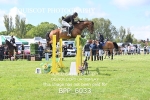 BPP_6033
