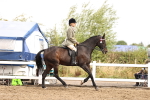 SBM_00705
