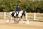 SBM_016762