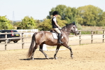 SBM_001418