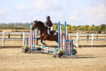 SBM_006089