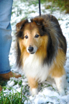 Ben In The Snow