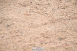 240720A-091000-13277