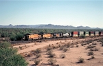 Shawmut, AZ portfolio