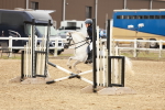 SBM_007136