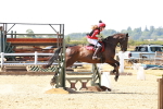 SBM_002384
