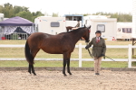 SBM_15337