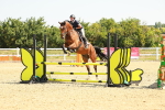 SBM_000429