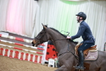Class 5 - Senior Foxhunter 1.20m portfolio