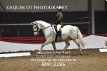 BPP_2286