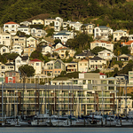 Evening Light, Wellington