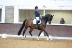 SBM_003616