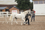 SBM_08490