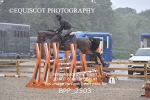 BPP_2503