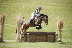 BVHT 140517  NXC -319