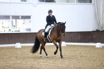 SBM_006700