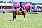 SBM_15401
