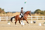 SBM_008615
