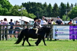 SBM_05763