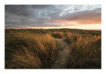 The Marram Maze