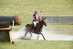 BVHT 140517  IXC -248