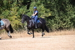 WJ6_8692