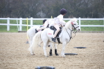 SBM_003764