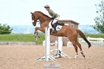 Cls 1 Brit Novice & 90cm Open portfolio
