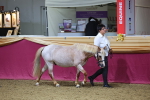 SBM_20939