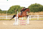 SBM_005049