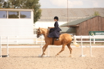 SBM_06730