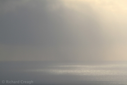 Sun Through a Shower