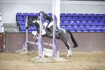 SBM_001961