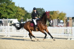SBM_58194