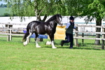 SBM_10094