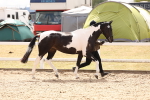 SBM_15327