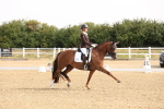SBM_005251