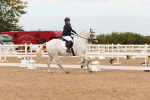SBM_03781