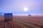 clonmore bales sunrise