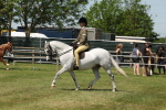 SBM_06753