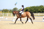 SBM_009603