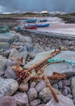 A hard rain Cove Harbour Inverasdale