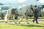 SBM_57417