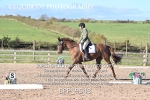 BPP_9543