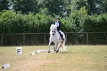 WJ6_3353