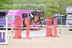 BPP_5041